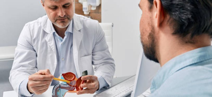 Doctor urologist consulting patient with prostatitis, explaining to him methods of treatment using anatomical model of male reproductive system. Prostatitis treatment