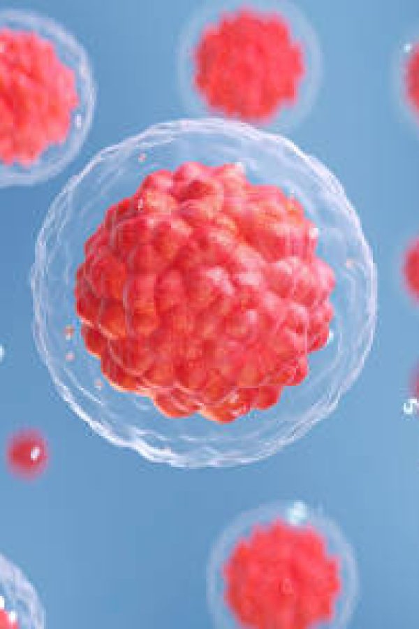 3D rendering of human cell or embryonic stem cell microscope background