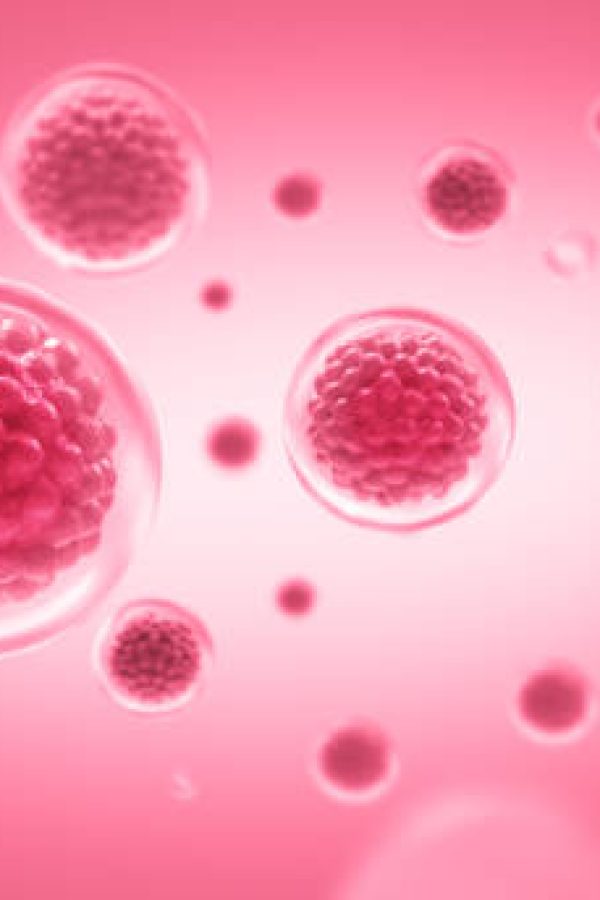 Stem Cell under microscope, Medicine scientific concept, 3D rendering.